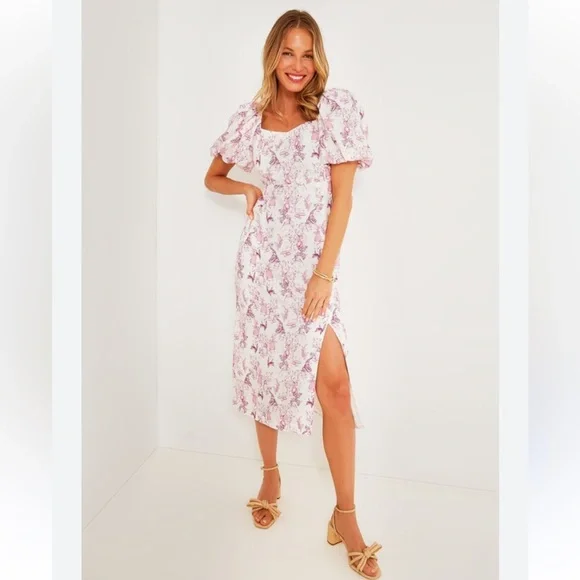 NWT Hyacinth House by Tuckernuck Woodland Wilma Midi Dress in a pink white L. - Picture 1 of 8